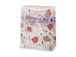 Dāvanu maisiņi ar dizainu