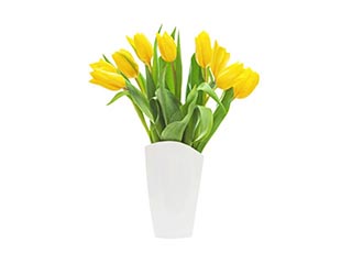 Vāzes