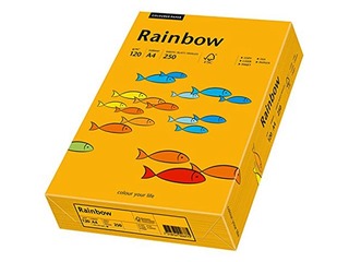Papīrs Rainbow 22, gaiši oranžs, A4, 80g/m², 500 loksnes
