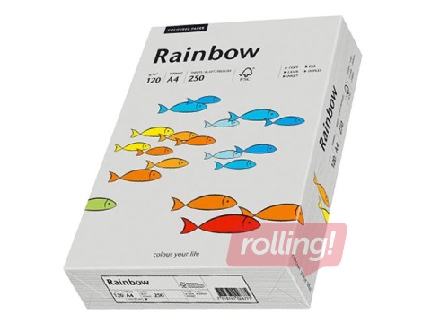 Papīrs Rainbow 96, A4, pelēks, 80g/m², 500 loksnes