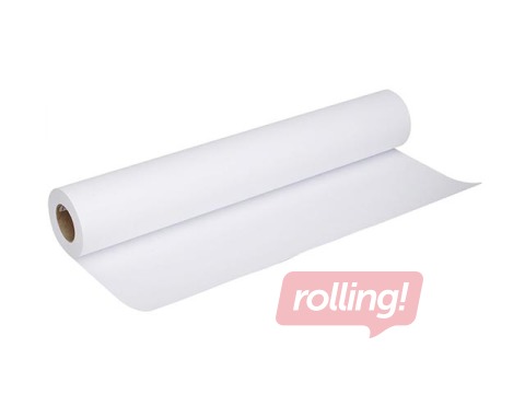 Papīrs rullī Standard tintes print., 61.0 cm x 50 m, 80 g/m2
