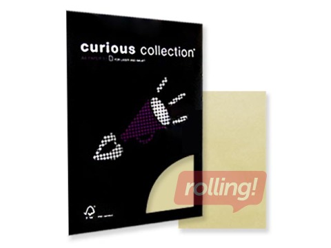 Papīrs Curious Translucents, A4, ziloņkaula, 100g/m², 50 loksnes