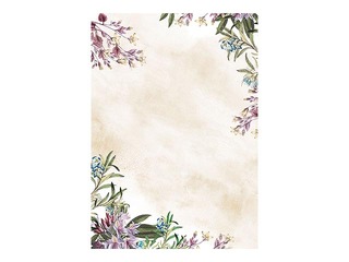 Dizaina papīrs Umbria, A4, 100g/m², 50 loksnes