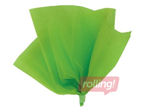 Zīdpapīrs dekoratīvais Vert Sapin 5, 18 g/m2, 50 x 75 cm, 24 loksnes