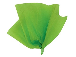 Zīdpapīrs dekoratīvais Vert Sapin 5, 18 g/m2, 50 x 75 cm, 24 loksnes