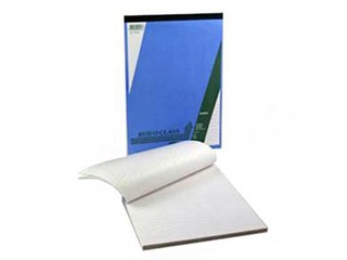 Piezīmju bloknots Aurora, papīra vāks, A4, rūtiņu, 100 lapas