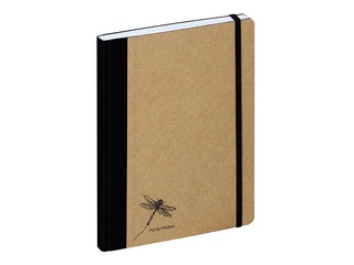 Klade Pagna Pur, A5, rūtiņu, 160 lpp