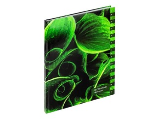 Klade ar alfabētu cietos vākos Grand, A4, rūtiņu, 96 lapas