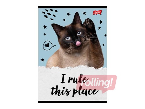 Klade Unipap, Caturday, rūtiņu, A5, 32 lapas