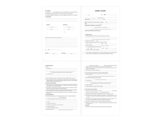 Darba līgums, A3, divpusējs, 100 gab.