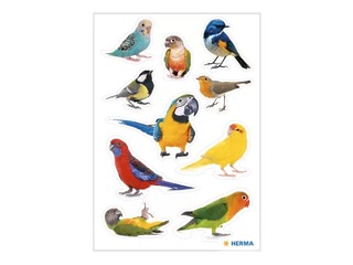 Uzlīmes Herma Decor Putni