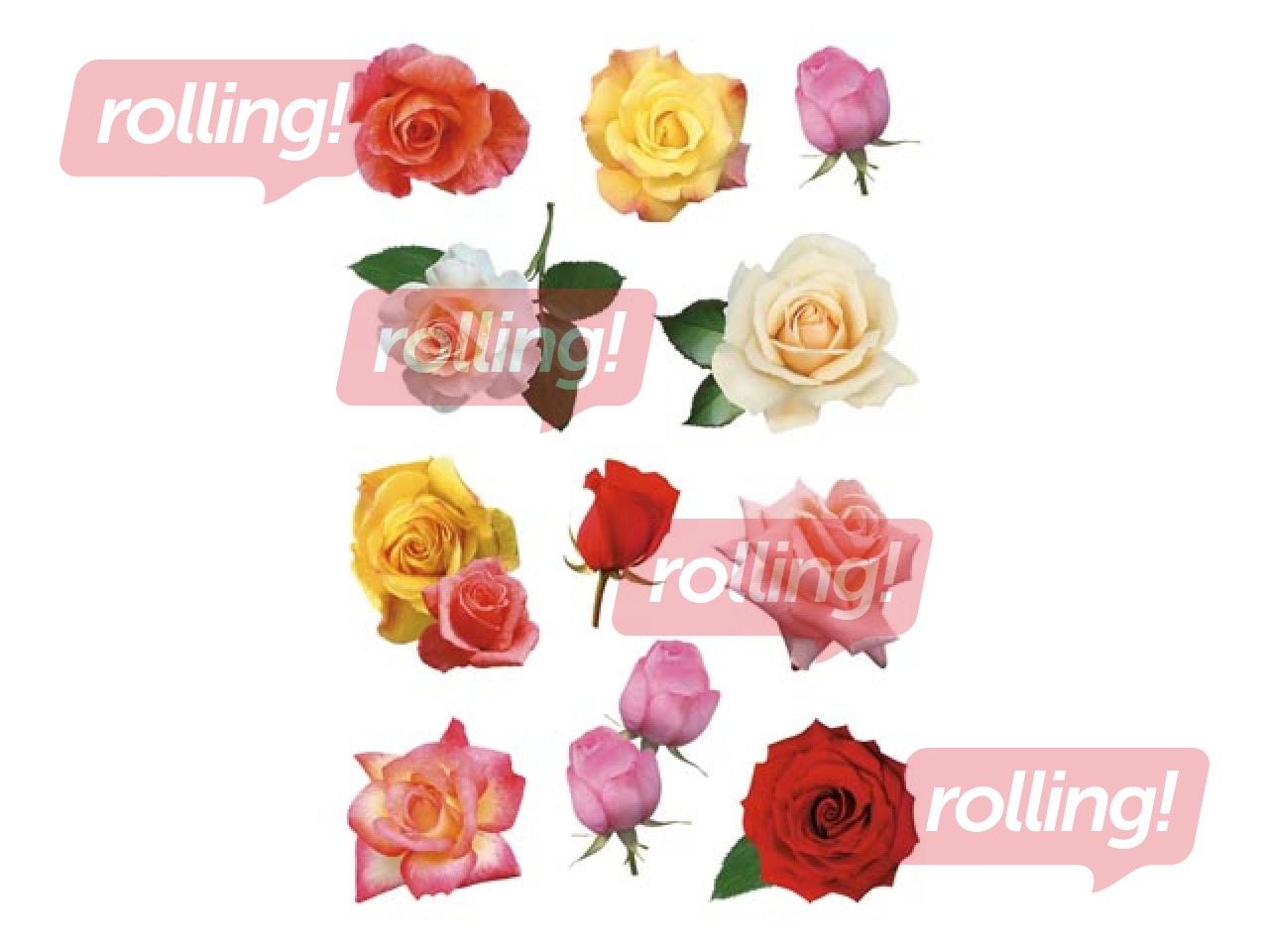 Uzlīmes Herma Decor Rose blossoms 3 lapas