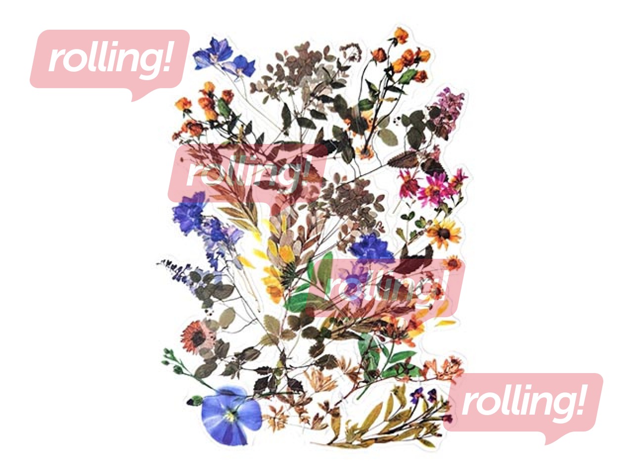 Uzlīmes Galeria Papieru Field Flowers