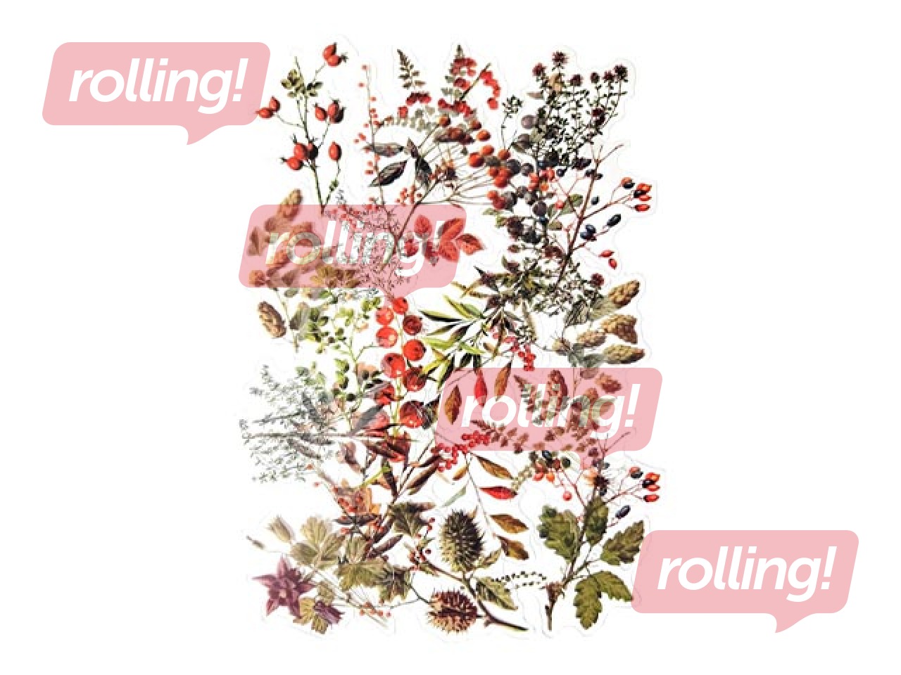 Uzlīmes Galeria Papieru Treasures of the Forest