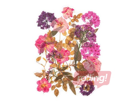 Uzlīmes Galeria Papieru Hydrangeas and Roses