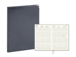 Dienasgrāmata Advocate, A4, basis, pelēka