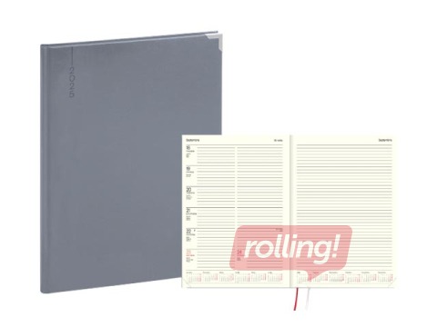 Dienasgrāmata Fortune, A4, basis, pelēka