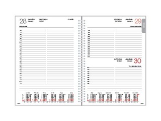 Dienasgrāmata Manager, A5, mākslīgā āda ar spirāli, brūna