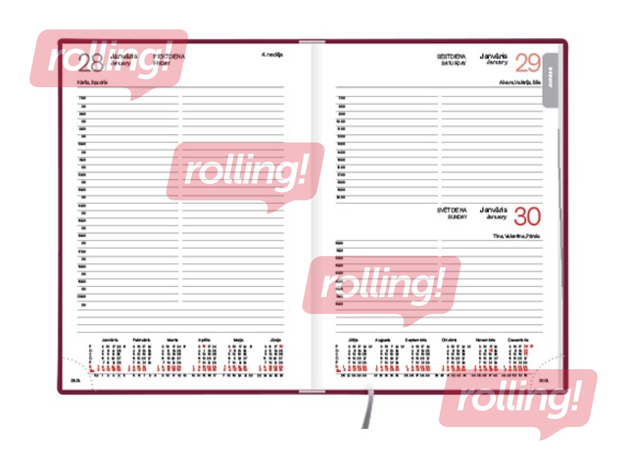 Dienasgrāmata Manager, A5, āda, bordo