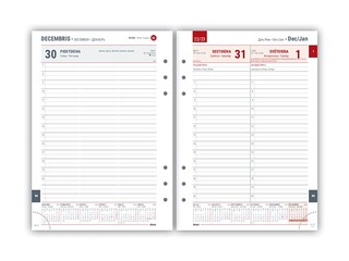 Satura bloks Maxi Diena