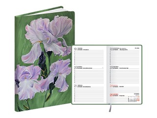 Kabatas kalendārs Pocket Flex, Green