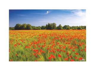 Sienas kalendārs Office, Nr.2