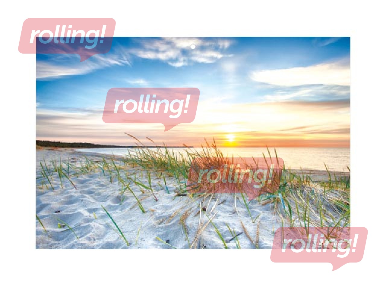 Sienas kalendārs Office, Nr.5