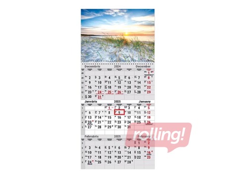 Sienas kalendārs Office, Nr.5