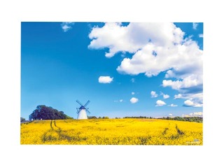 Sienas kalendārs Office, Nr.7