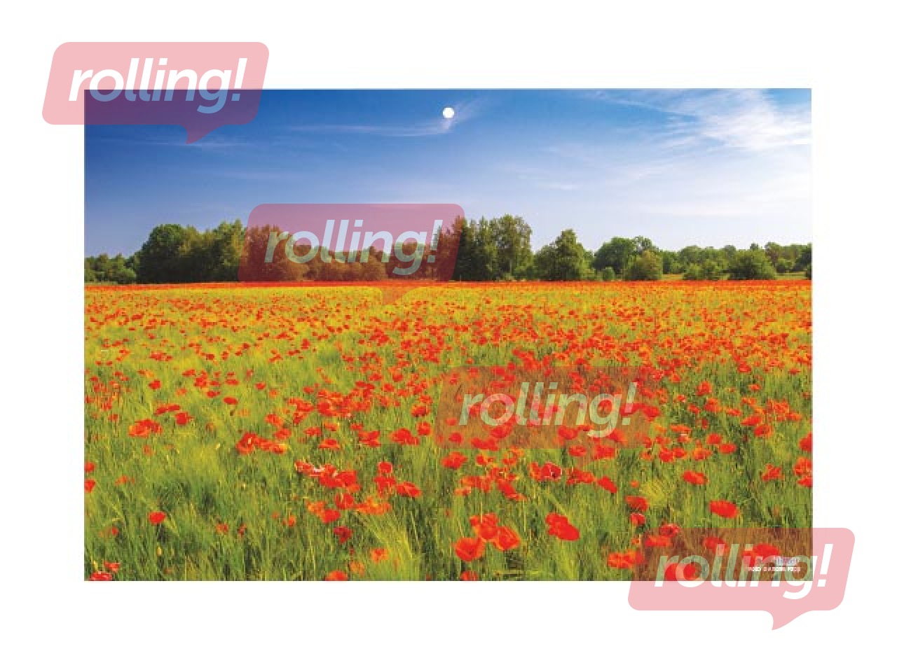 Sienas kalendārs Office Mini, Nr.2