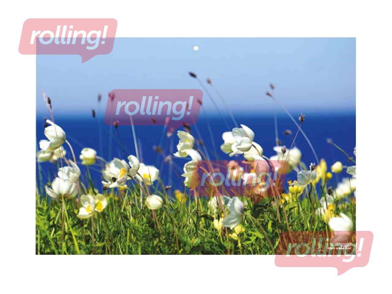 Sienas kalendārs Office Mini, Nr.1