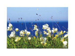 Sienas kalendārs Office Mini, Nr.1