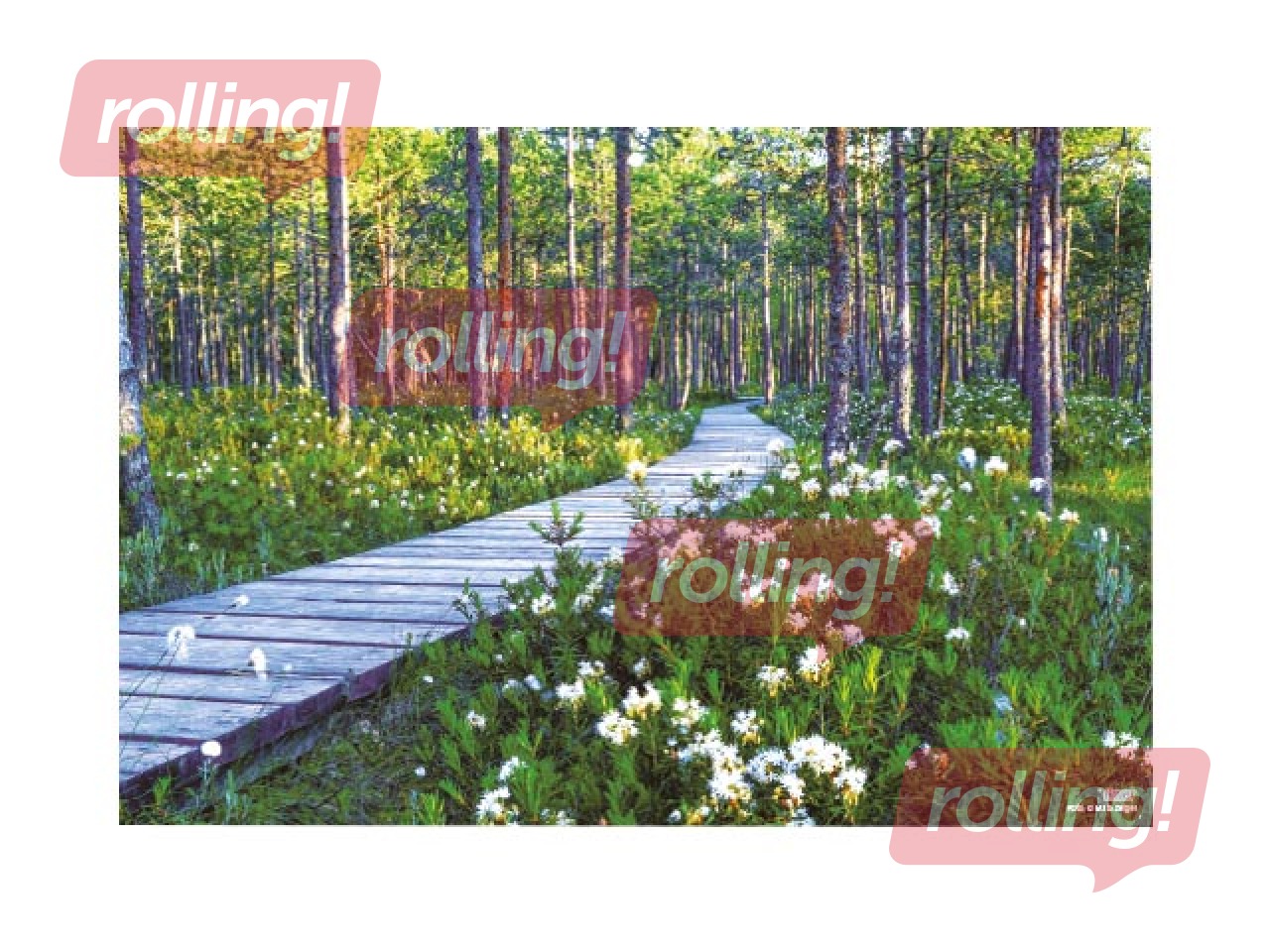 Sienas kalendārs Office Mini, Nr.4