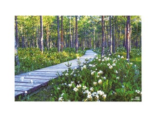 Sienas kalendārs Office Mini, Nr.4