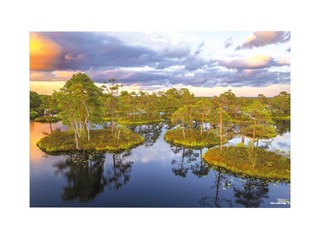 Sienas kalendārs Office, Nr.3