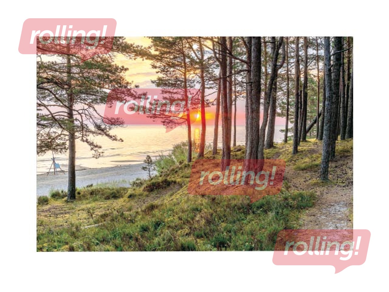 Sienas kalendārs Office Mini, Nr.8