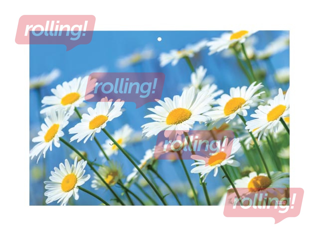 Sienas kalendārs Office Mini, Nr.13