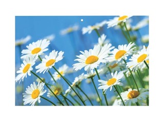 Sienas kalendārs Office Mini, Nr.13