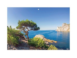 Sienas kalendārs Office Mini, Nr.11