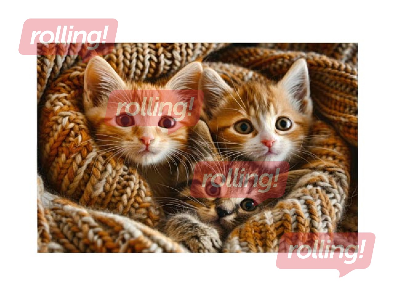 Kalendārs ar magnētu, Nr.5