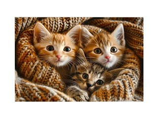 Kalendārs ar magnētu, Nr.5