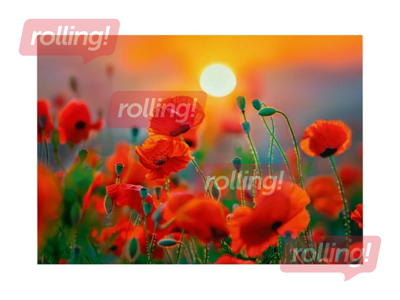 Kalendārs ar magnētu, Nr.7