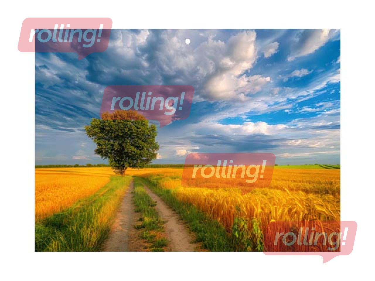 Sienas kalendārs Baltic, Pie ezera, bez vārda dienām