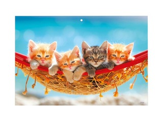 Sienas kalendārs Office Mini, Nr.20