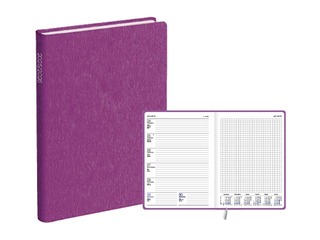 Skolotāja dienasgrāmata Pieturpunkts, A5, violeta