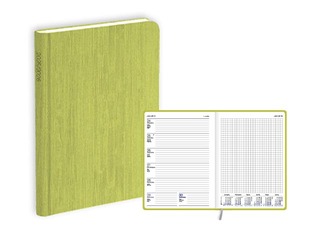 Skolotāja dienasgrāmata Pieturpunkts, A5, zaļa