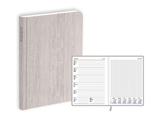 Skolotāja dienasgrāmata Pieturpunkts, A5, bēša