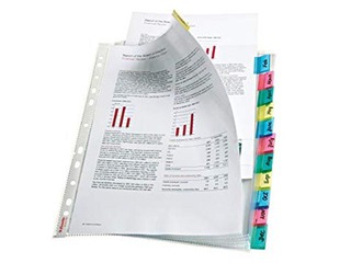 Dokumentu kabatiņa Esselte, A4+, glancēta ar 12 sadaļām