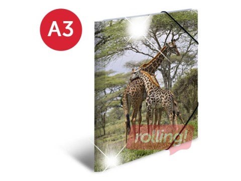 Mape ar 3 atlokiem un gumijām Herma, dzīvnieku apdruka, A3, PP glancēta