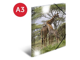 Mape ar 3 atlokiem un gumijām Herma, dzīvnieku apdruka, A3, PP glancēta